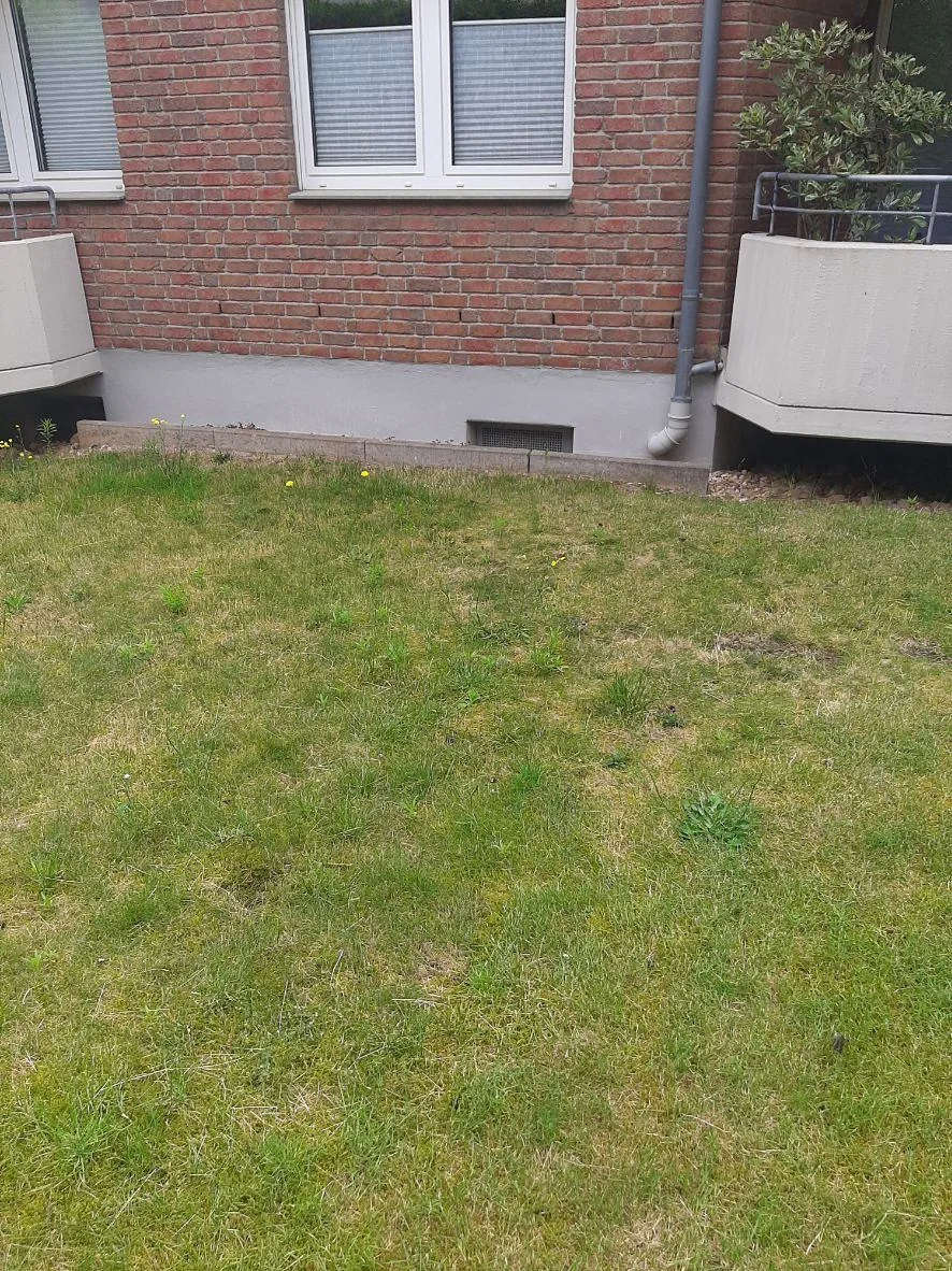 Vorher: leerer Rasen vor dem Haus, noch ohne Wärmepumpe